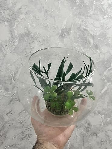 şu baki: Şüşə akvarium dekorativ süni bitki içinde 3 litir su tutumu — 2