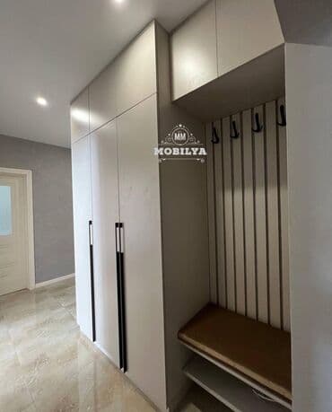 isti aqlay fasad: Yeni, Açılan, Düz dolab, Dəhliz dolabı, Azərbaycan — 1