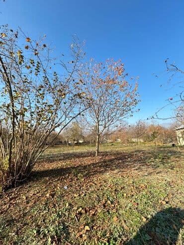 аренда и продажа недвижимости: 17 sot, Tikinti, Kupça (Çıxarış) — 1