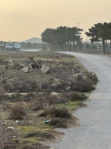 torpax sahesi: 100 sot, Biznes üçün, Makler, Kupça (Çıxarış), Texniki pasport — 3