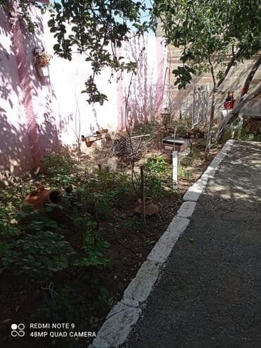 sumqayıtda ucuz həyət evləri: 1000 kv. m, 6 otaqlı, Hovuzlu, Qaz, İşıq, Su — 4