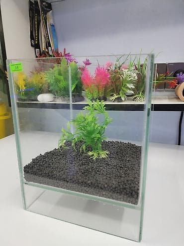 akvarium baliqlari haqqinda melumat: 9 litr akvarium, dib dasi, dekorlu 35azn Akvarium baliglarinin satiwi — 1
