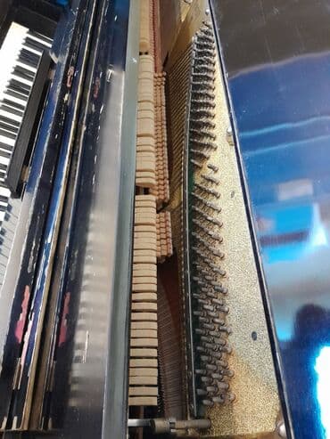 Bıçaqlar: Piano, Belarus, Akustik — 4