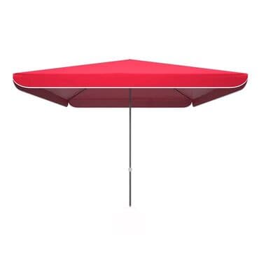 işlənmiş zontiklər: Zontik — 2