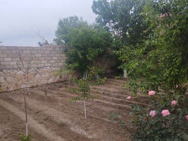 недвижимость в азербайджане купить: 3 комнаты, 78 м², Нет кредита, Свежий ремонт — 7