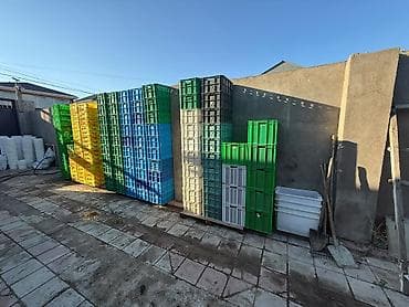 Seliqeli qalın rengli taralar endirimde