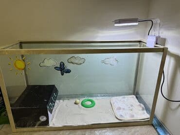 akvarium filteri: Qurbağa və ya quru/su tısbağası üçün tam qurulmuş terrarium dəsti — 1