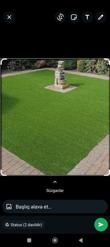 ot toxumu satışı: Qazon çatrlma qurasdrma torf gubresi dermanlanmasi agaclarin ekini — 27