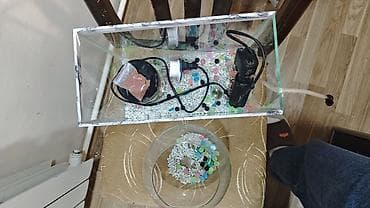 Salam artıq balıq saxlamıram deyə satıram 2 ədəd akvarium, hava — 1