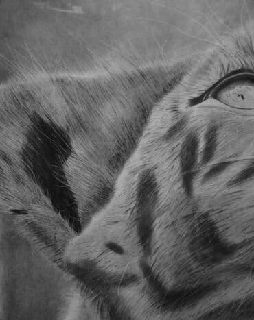 ana dilinə aid şəkillər çəkmək: Qara karandaşla 30 saata çəkilmiş hiperrealist rəsm əsəri satılır — 4