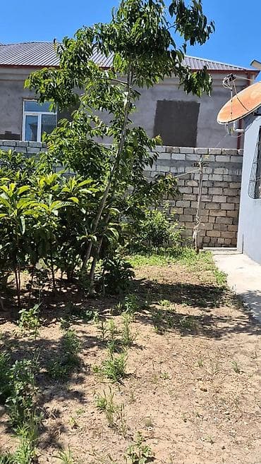 kiridit: Mərdəkan 3 otaqlı, 74 kv. m, Kredit yoxdur, Yeni təmirli — 2