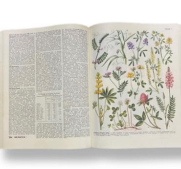 познание мира 2 класс мсо 2: Məhsul: “Сельскохозяйственный энциклопедический словарь” (Kənd — 2