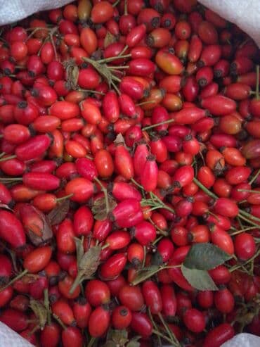 Məişət kimyəvi maddələri: İtburnu meyvəsi 🌿 Yeni gəldi 🆕 Çatdırılma pulsuz 🚇 ( Minimum 3 kg ) — 1