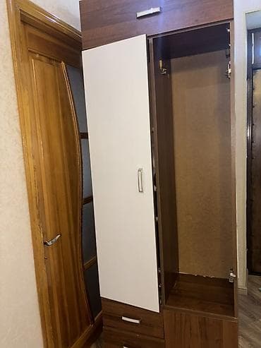 tek krafat: 2 qapılı, Siyirməli, Rəngli, Digər material, Açılan, Düz dolab — 2