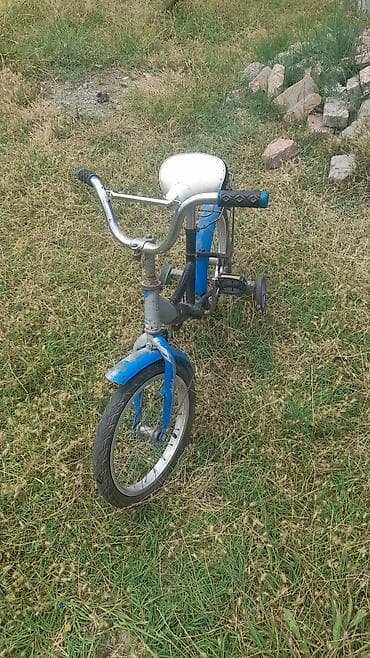qış donu: Uşaq velosipedi – kiçik ölçülü, mavi-qara rəng sxemi ilə — 1