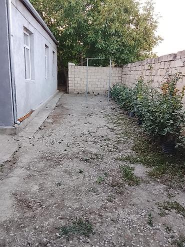 ev ve torpaq: 3 otaqlı, 120 kv. m, Yeni təmirli — 9