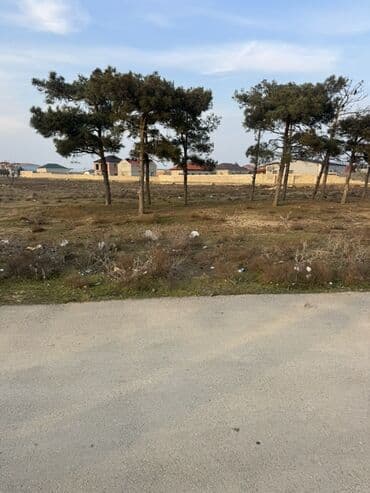 torpax sahesi: 100 sot, Biznes üçün, Makler, Kupça (Çıxarış), Texniki pasport — 7