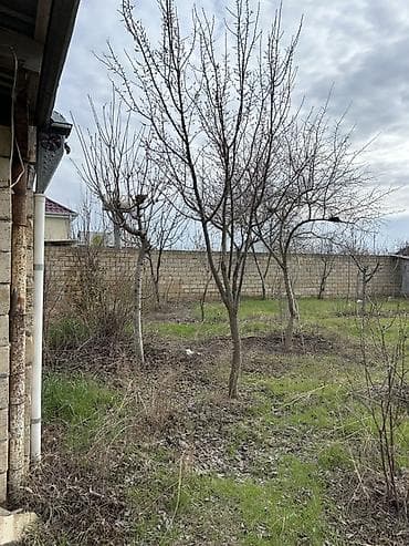 3 mikrorayon ev qiymetleri: QİYMƏT RAZILAŞMA İLƏ. Kupça var. Füzuli rayonu bala bəhmənli kəndi 2 — 4