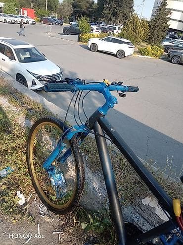 velasped: Şəhər velosipedi 29", sürətlərin sayı: 1 — 2