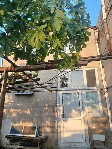 Coratda ev satıram 5 otaq yarım sot həyəti lalafo.az -da Coratda ev satıram 5 otaq yarım sot həyəti