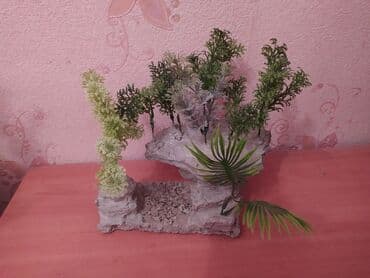 suda yaşayan heyvanlar: Akvarium dekorları — 6