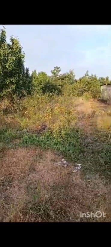 ovcu mağazası unvan: 18 sot, Biznes üçün, Mülkiyyətçi, Kupça (Çıxarış), Texniki pasport — 8