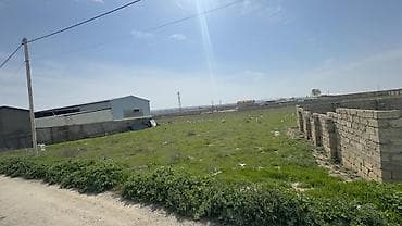 22 sot, Kənd təsərrüfatı, Mülkiyyətçi, Kupça (Çıxarış)