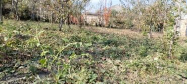 quba amsar: 4 sot, Maklerlər narahat etməsin, Kupça (Çıxarış) — 4