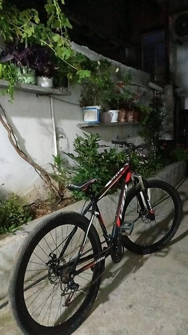 velosiped kameri: VeloSiped – dağ/şəhər tipli, 29” təkərli “VISTA” markalı model Əsas — 2