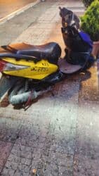 мапет: 2018 il, 125 km — 2