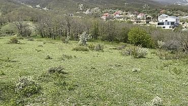 kirayə mənzillərin satışı: 8 sot, Tikinti — 2