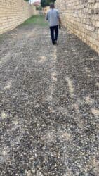 qubada torpaq satilir 2020: 4 sot, Tikinti, Mülkiyyətçi, Kupça (Çıxarış) — 1