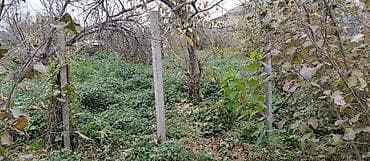 bine atciliq satilan evler: 36 sot, Kənd təsərrüfatı, Mülkiyyətçi, Kupça (Çıxarış) — 7