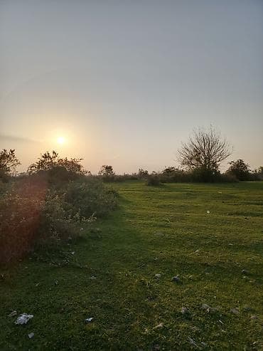 bunud torpaq: 24 sot Qaz, İşıq, Su — 3