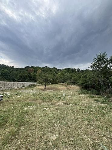 30 sot, Tikinti, Mülkiyyətçi, Kupça (Çıxarış)