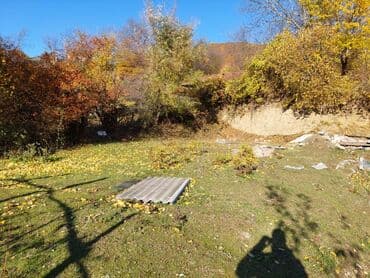 şəkide kiraye evler: 2 otaqlı, 65 kv. m, Təmirsiz — 5
