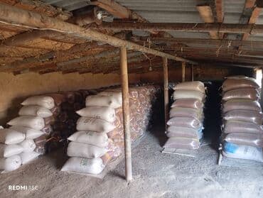 meyve terevez biznesi: Supurge toxumu Vimnen cixma maldi istiyen olsa elaqe saxlasin — 3