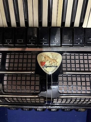 Fleytalar: Akustik Akkordeon — 2