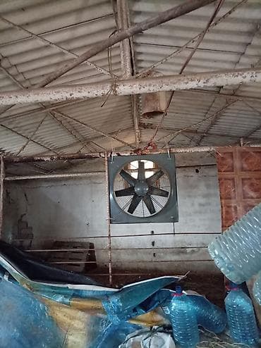 Ventilyatorlar: Sənaye tipli divar ventilyatorları (2 ədəd) Biri tez biri kohnr — 5