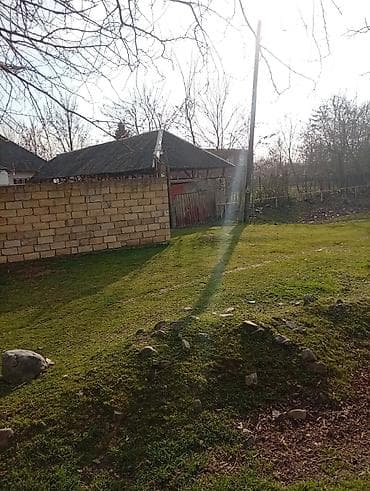 torpax: Tikinti — 3