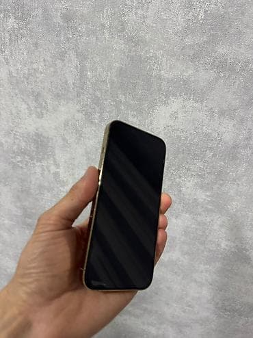 28 may telefon aksesuarları: IPhone 13 Pro, 256 GB — 2