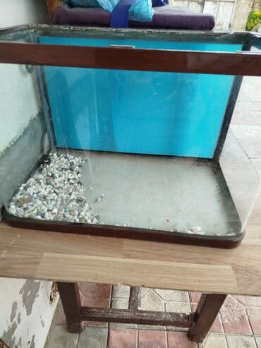Dördbucaq akvarium, Boş, 60 l, Ünvandan götürmə