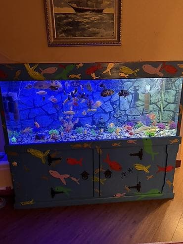 сколько стоит аквариум: Аквариум - 2 м ( 7,000 Манат Цена — 6