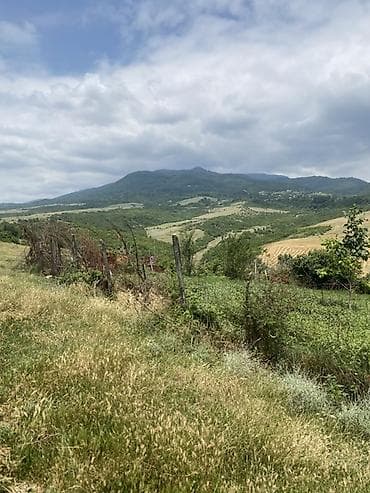 bulbulə torpaq: 15 sot, Tikinti — 7