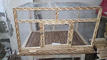 cane corso qiyməti: Teze tixilma boyuk olculerde qefesler.alti setka ustu padnoslu ve — 4