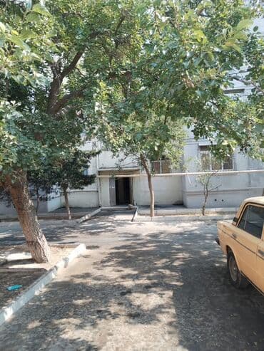 bileceri qes: Cox tecili əlində beh götür gəl bir variant Binə qəsəbəsi 136 nomreli — 15