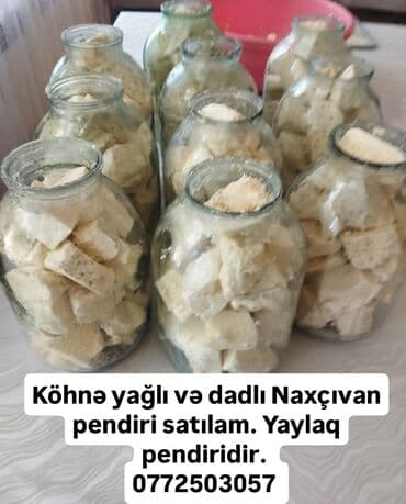 Qaymaq: Pendir — 1