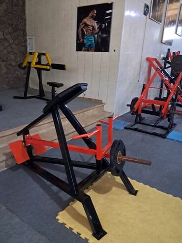 купить скейт круизер: Peşəkar trenajor dəsti – zal üçün ağır polad konstruksiyalı güc — 5