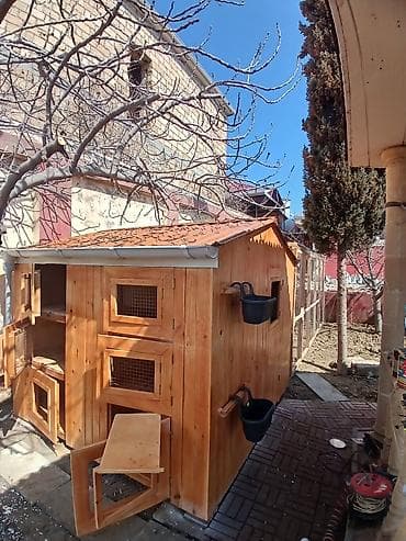 ekran ucun pisik sekilleri: Taxta quşxana / toyuq damı matryal sizden duzeltmey bizden zehmet haki — 6