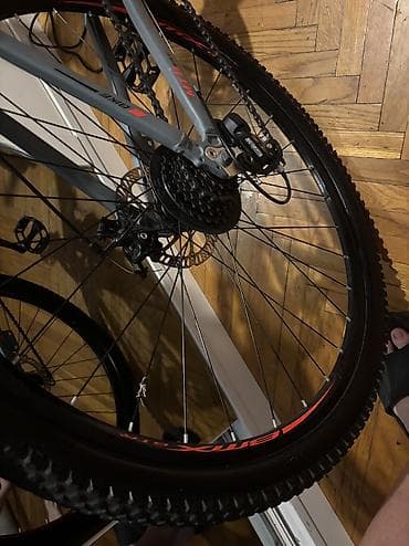 29 luq: 29 luq sport — 1